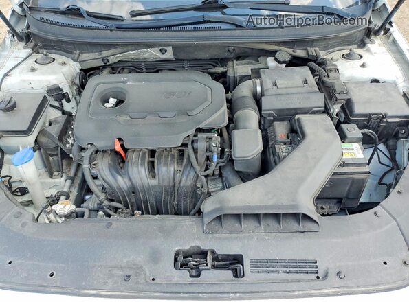 5NPE24AF4JH662467 2018 HYUNDAI SONATA White Սալոնի հետևի տեսք