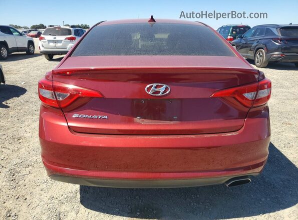 5NPE24AF5GH265102 2016 HYUNDAI SONATA Red Rear view