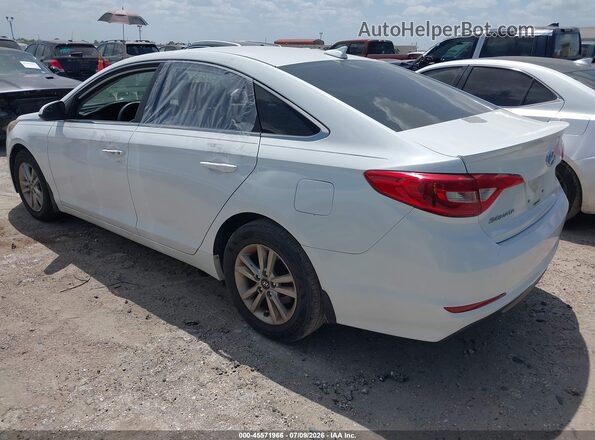 5NPE24AF5GH304805 2016 HYUNDAI SONATA White Задня ліва чверть