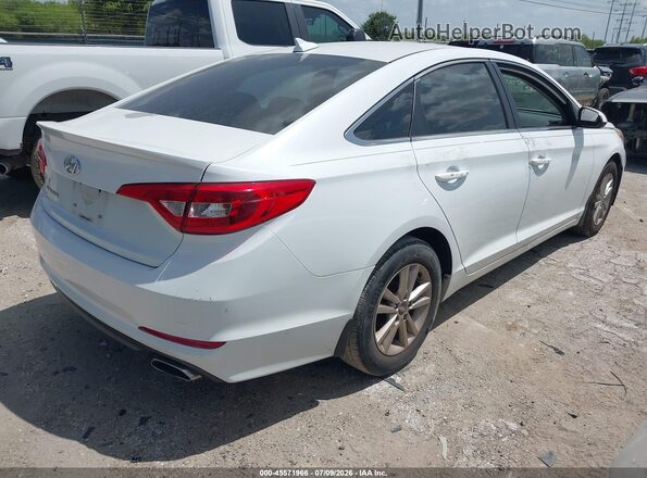 5NPE24AF5GH304805 2016 HYUNDAI SONATA White Задня права чверть