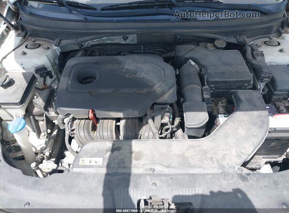 5NPE24AF5GH304805 2016 HYUNDAI SONATA White Вид ззаду