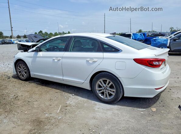 5NPE24AF5GH329834 2016 HYUNDAI SONATA White Rear left