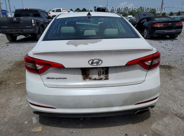 5NPE24AF5GH329834 2016 HYUNDAI SONATA White Rear view