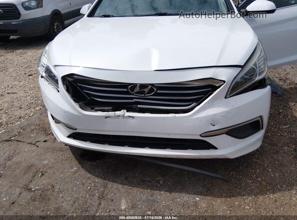 5NPE24AF5HH495689 2017 HYUNDAI SONATA Белый Вид спереди