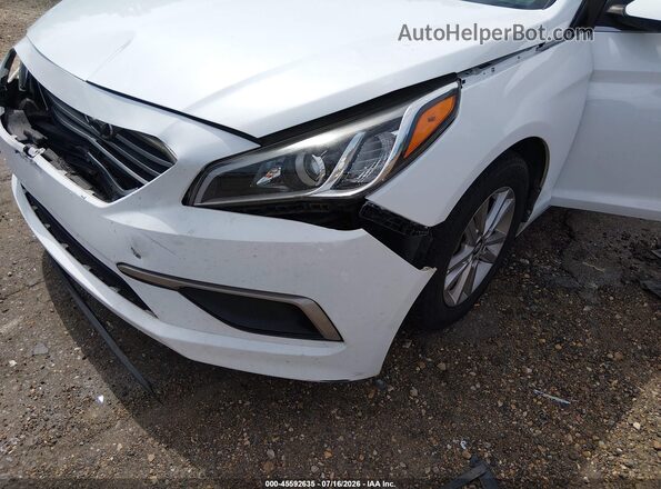 5NPE24AF5HH495689 2017 HYUNDAI SONATA Белый Вид задней части салона