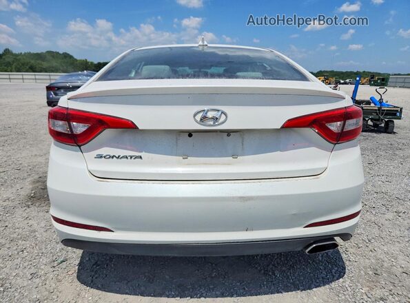 5NPE24AF5HH516573 2017 HYUNDAI SONATA White Հետևի տեսք
