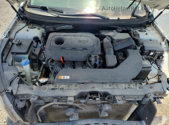 5NPE24AF5HH516573 2017 HYUNDAI SONATA White Սալոնի հետևի տեսք