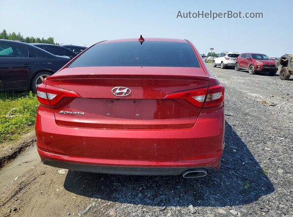 5NPE24AF5HH535642 2017 HYUNDAI SONATA Red Հետևի տեսք