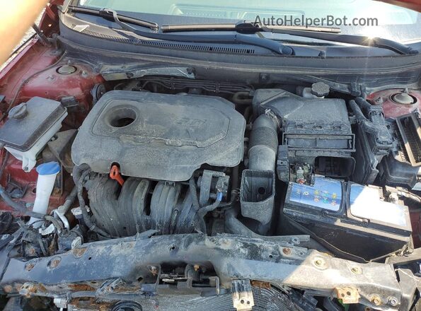 5NPE24AF5HH535642 2017 HYUNDAI SONATA Red Սալոնի հետևի տեսք