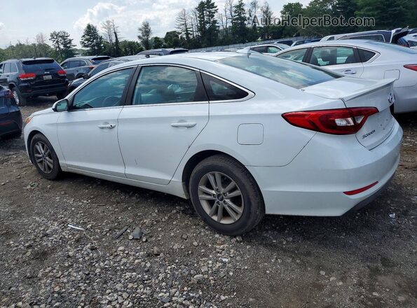 5NPE24AF5HH581648 2017 HYUNDAI SONATA White Tył lewy