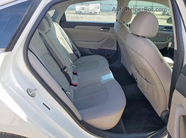 5NPE24AF5JH601239 2018 HYUNDAI SONATA White Հետևի նստատեղերի տեսք