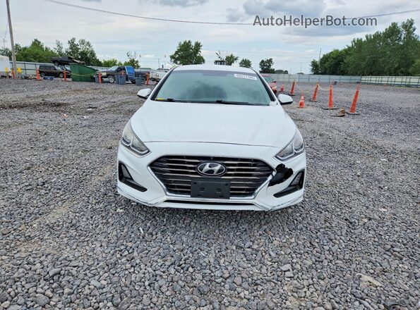 5NPE24AF5KH754852 2019 HYUNDAI SONATA White წინა ხედი