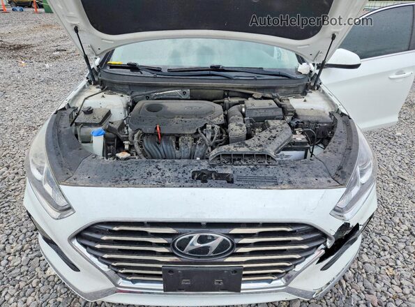 5NPE24AF5KH754852 2019 HYUNDAI SONATA White უკანა სალონის ხედი