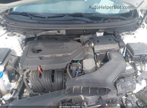 5NPE24AF5KH772462 2019 HYUNDAI SONATA White Հետևի տեսք