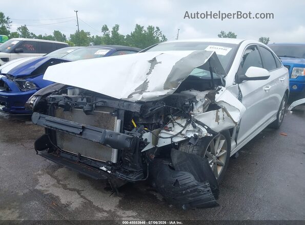 5NPE24AF5KH772462 2019 HYUNDAI SONATA White Դիմացի տեսք