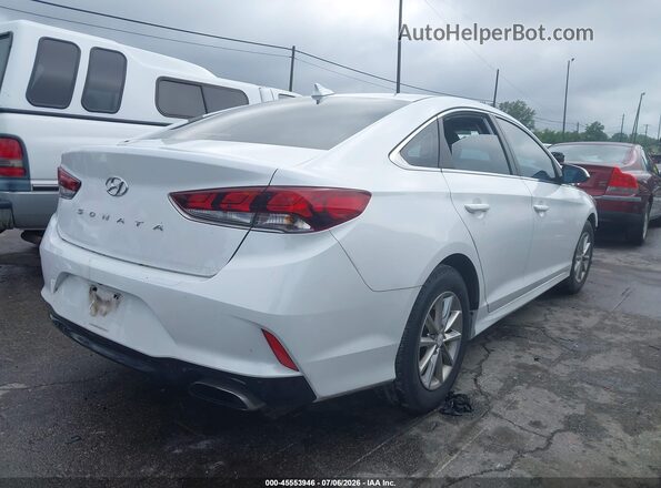 5NPE24AF5KH772462 2019 HYUNDAI SONATA White Հետևի աջ