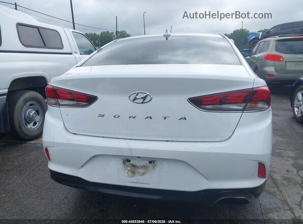 5NPE24AF5KH772462 2019 HYUNDAI SONATA White 