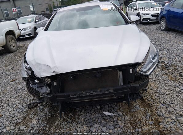 5NPE24AF5KH776561 2019 HYUNDAI SONATA Silver Вид задньої частини салону