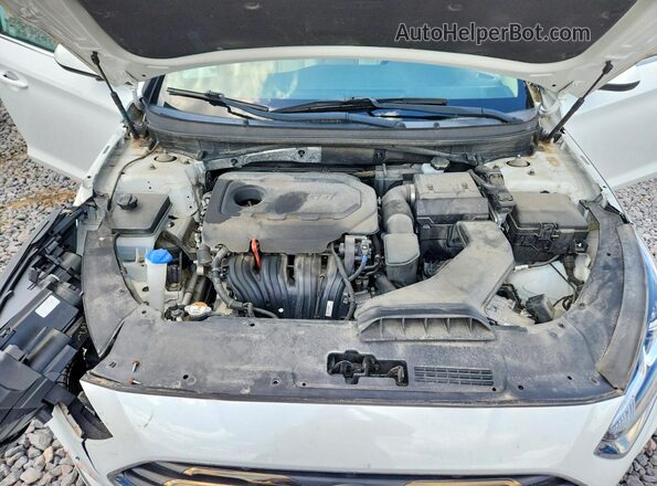 5NPE24AF5KH817335 2019 HYUNDAI SONATA Белый Вид задней части салона