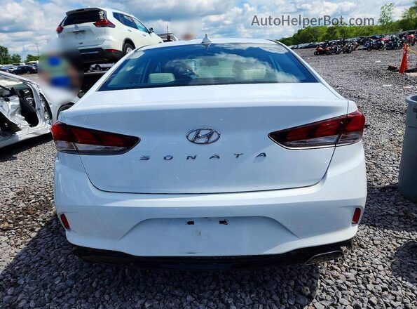 5NPE24AF5KH817335 2019 HYUNDAI SONATA Белый Вид сзади