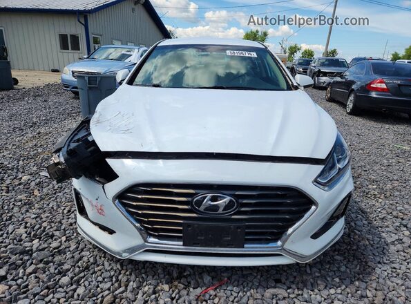 5NPE24AF5KH817335 2019 HYUNDAI SONATA Белый Вид спереди