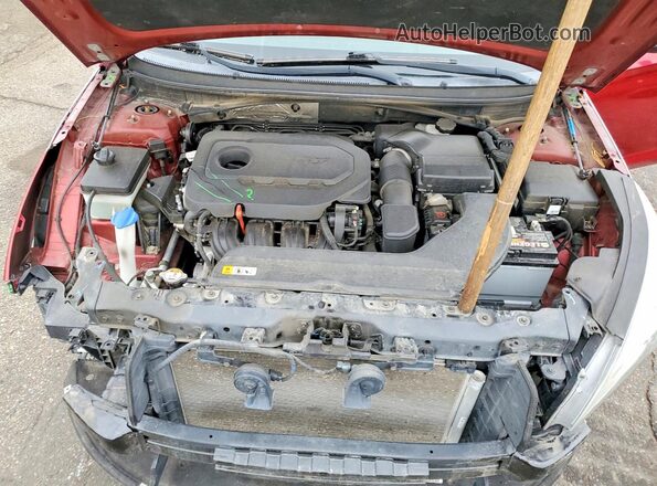 5NPE24AF6GH269711 2016 HYUNDAI SONATA Red Rear interior view