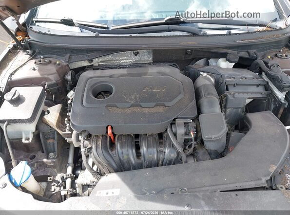 5NPE24AF6GH281924 2016 HYUNDAI SONATA Gray Widok z tyłu