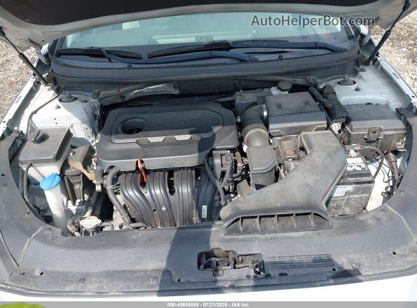 5NPE24AF6KH760918 2019 HYUNDAI SONATA Silver Widok z tyłu