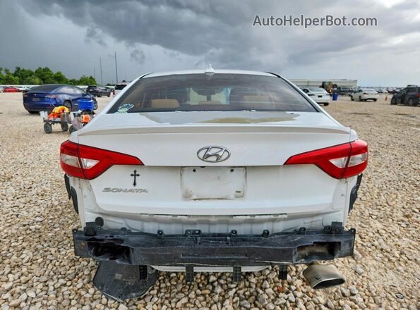 5NPE24AF7GH273900 2016 HYUNDAI SONATA White Հետևի տեսք