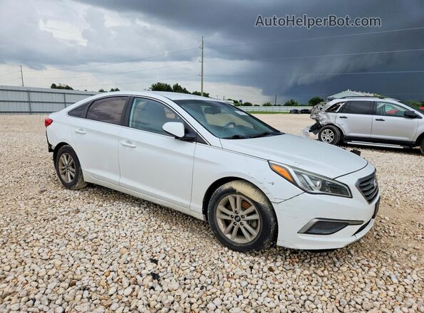 5NPE24AF7GH273900 2016 HYUNDAI SONATA White Առջևի աջ