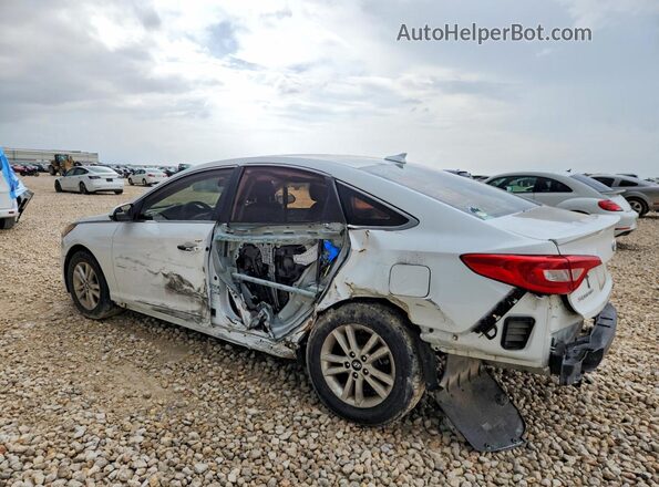 5NPE24AF7GH273900 2016 HYUNDAI SONATA White Հետևի ձախ