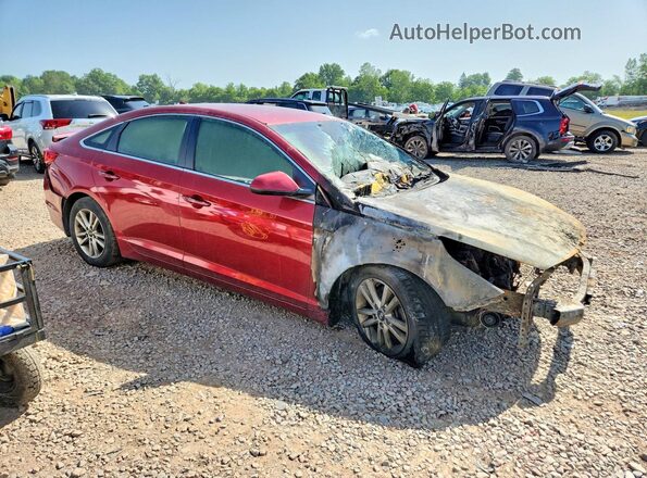 5NPE24AF7GH293600 2016 HYUNDAI SONATA Red Առջևի աջ