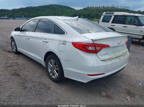 5NPE24AF7GH353696 2016 HYUNDAI SONATA White Tył lewy