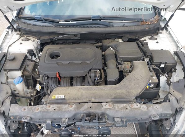 5NPE24AF7GH353696 2016 HYUNDAI SONATA White Widok z tyłu
