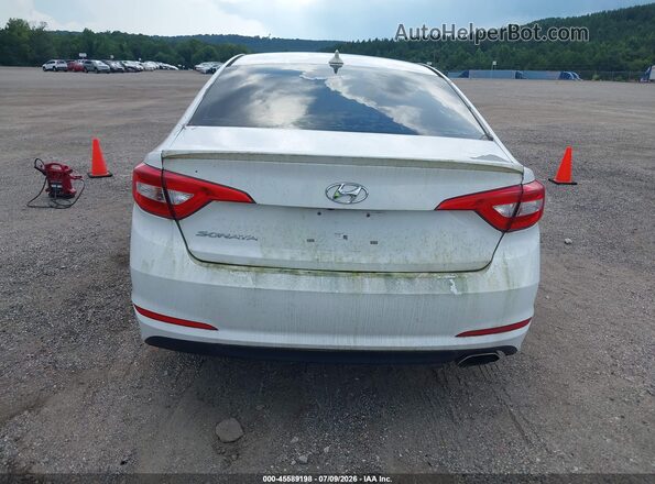 5NPE24AF7GH353696 2016 HYUNDAI SONATA White 