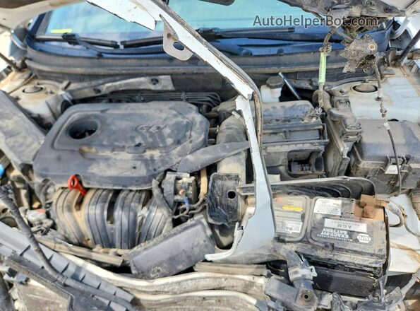 5NPE24AF7GH363516 2016 HYUNDAI SONATA White Rear interior view