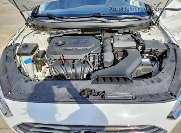 5NPE24AF7KH751421 2019 HYUNDAI SONATA Белый Вид задней части салона