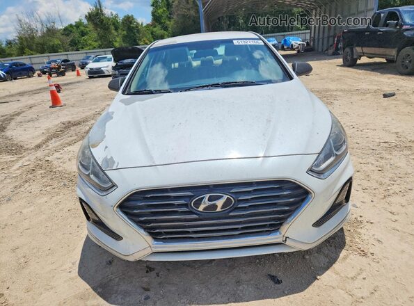 5NPE24AF7KH814355 2019 HYUNDAI SONATA Белый Вид спереди