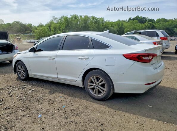 5NPE24AF8GH346935 2016 HYUNDAI SONATA White Rear left