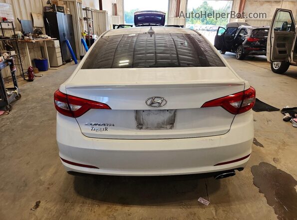 5NPE24AF8GH376971 2016 HYUNDAI SONATA Белый Вид сзади