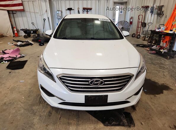 5NPE24AF8GH376971 2016 HYUNDAI SONATA Белый Вид спереди