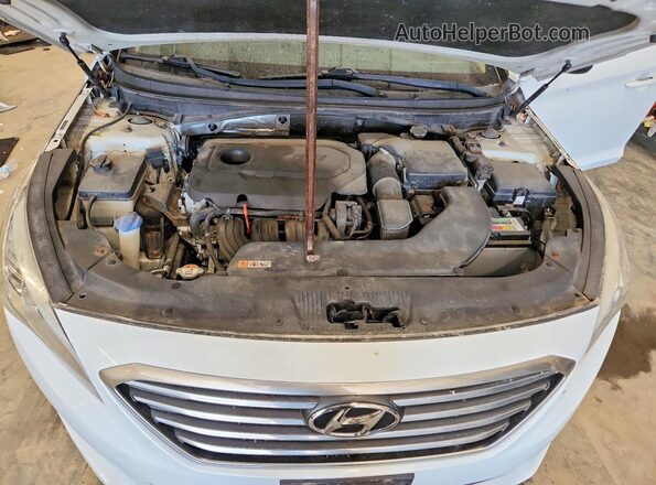 5NPE24AF8GH376971 2016 HYUNDAI SONATA Белый Вид задней части салона