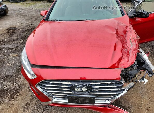 5NPE24AF8JH622201 2018 HYUNDAI SONATA Maroon Widok wnętrza z tyłu