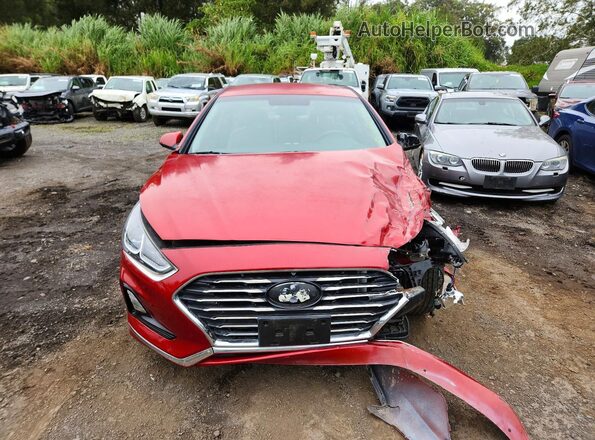 5NPE24AF8JH622201 2018 HYUNDAI SONATA Maroon Widok z przodu