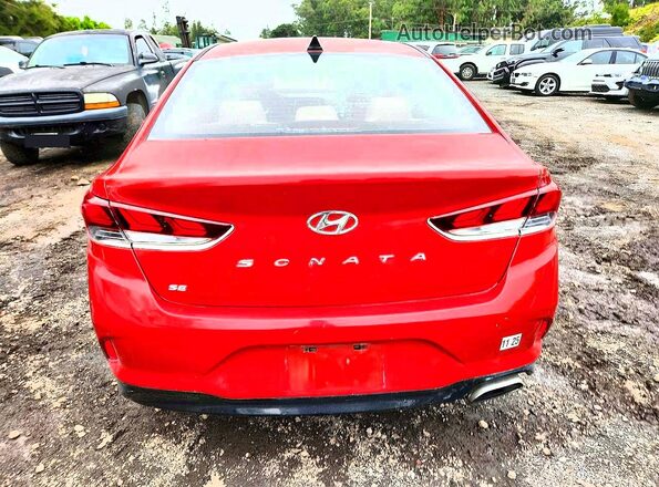 5NPE24AF8JH622201 2018 HYUNDAI SONATA Maroon Widok z tyłu