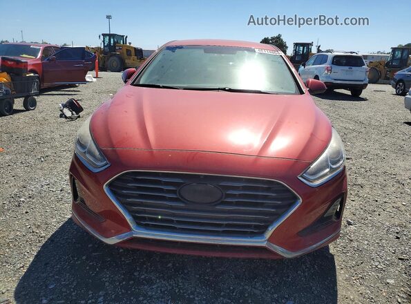 5NPE24AF8JH643596 2018 HYUNDAI SONATA Red Front view
