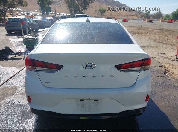5NPE24AF8JH683922 2018 HYUNDAI SONATA Белый 