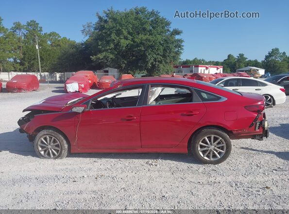 5NPE24AF8KH754005 2019 HYUNDAI SONATA Красный Вид задней части салона