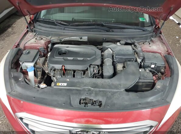 5NPE24AF9GH334048 2016 HYUNDAI SONATA Красный Вид сзади