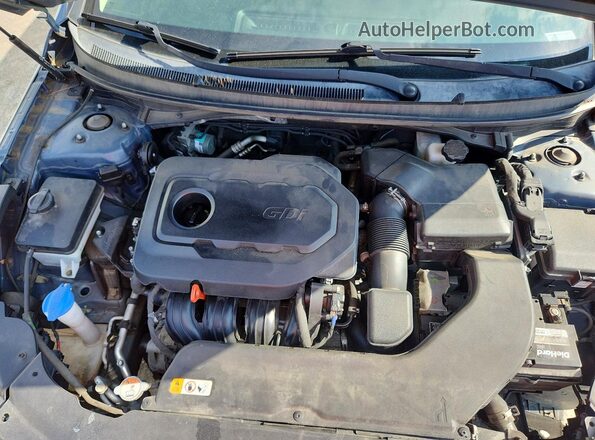 5NPE24AF9GH413865 2016 HYUNDAI SONATA Синий Вид задней части салона